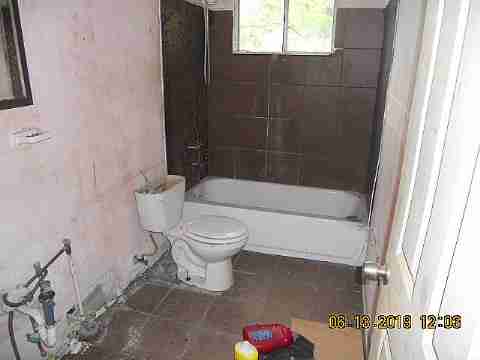 15017 Dolphin (17)_m.jpg